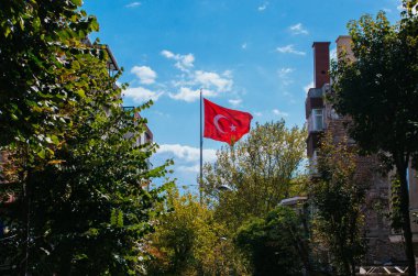 Gökyüzünde beyaz yıldız ve ay bulunan Türk ulusal bayrağı