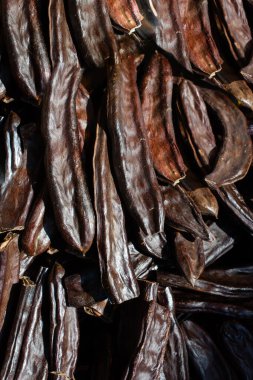 Manzarada yüzlerce kuru kahverengi sürahi var.