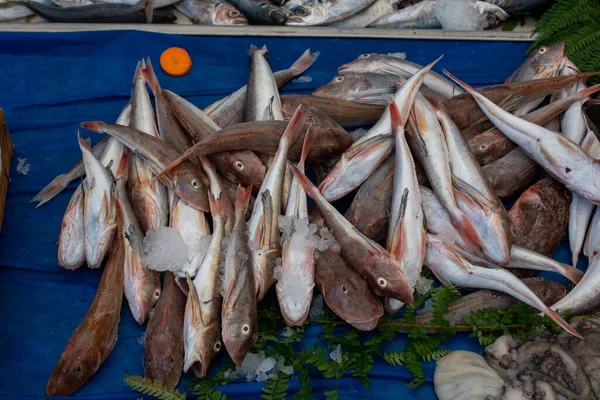 Świeże Ryby Jako Żywność Morska Sprzedaż Targu Rybnym — Zdjęcie stockowe