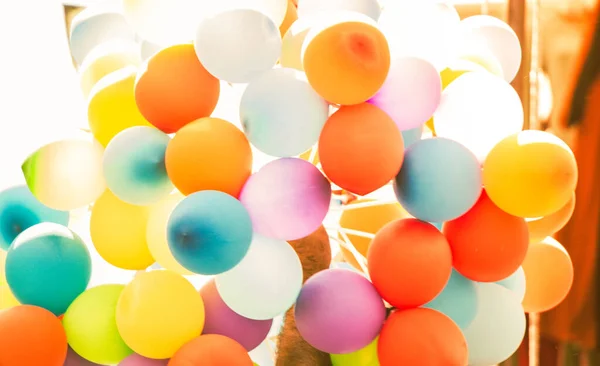 Bunch Multi Color Balloons Outdoor Party — Stock Photo, Image