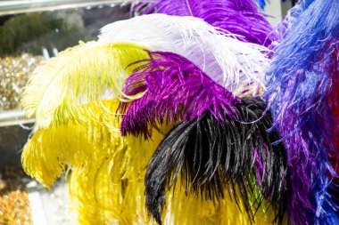 Dekoratif amaçlar için güzel kuş tüyleri