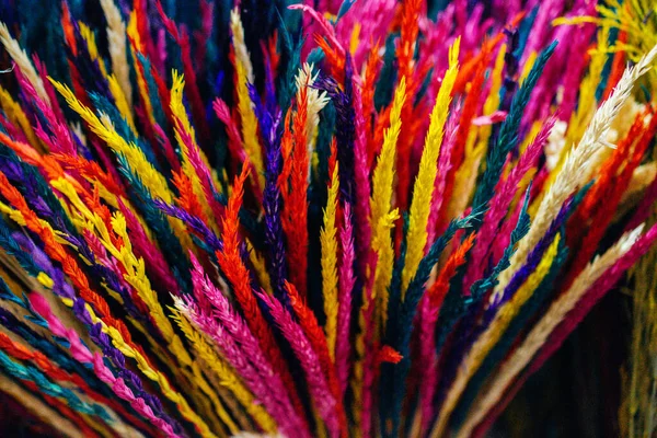 Farbowany Suchy Kolorowy Kwiat Celów Doceracji — Zdjęcie stockowe