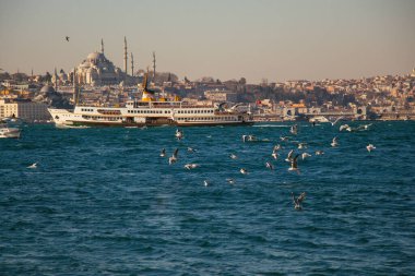 Şehir silüeti. Seyahat hindi arka planı. Kentsel panoramik görünüm