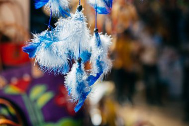 Dekoratif amaçlar için güzel renkli kuş tüyleri