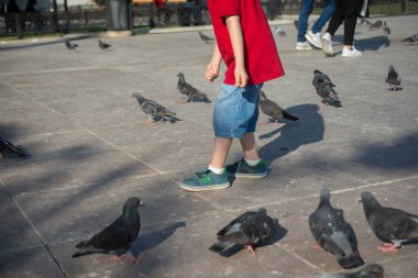 Sevimli güvercin kuşlarının ortasındaki insanlar şehir ortamında beslenir.