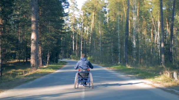 Man på en rullstol, ridning i skogen, bakifrån. — Stockvideo