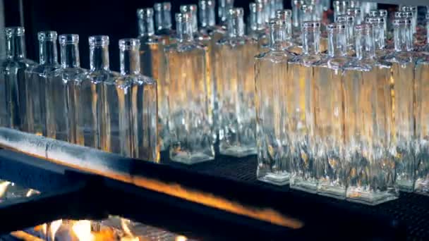 Скляні пляшки спалюються і видаляються з конвеєрного поясу — стокове відео