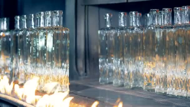 Glühprozess von Glasflaschen, die anschließend vom Band genommen werden — Stockvideo