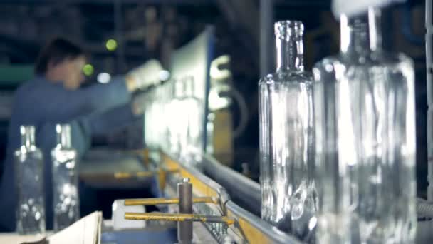 工場労働者がベルトコンベアに沿って移動するガラスびんの品質をチェックします。 — ストック動画