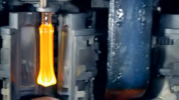 Şişe teslim ediliyor kalıplı ve bir fabrika makine tarafından ısıtılır — Stok video