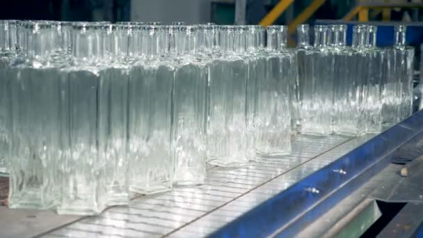 Puste szklane butelki są pchają się do przenośnika taśmowego — Wideo stockowe