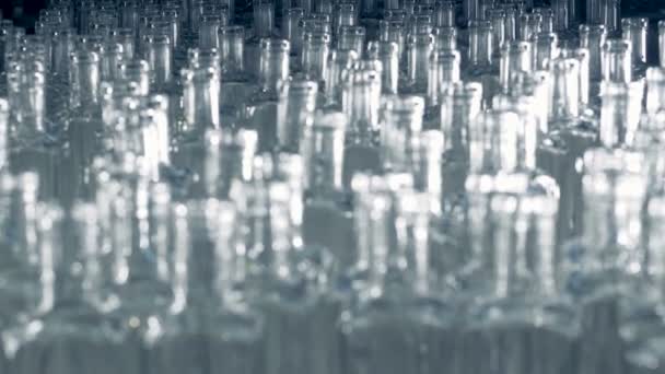 Множество свежих стеклянных бутылок слегка толкаются вперед или двигаются боком — стоковое видео