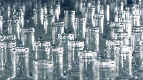 Colli di bottiglie di vetro lentamente in movimento in un primo piano — Video Stock