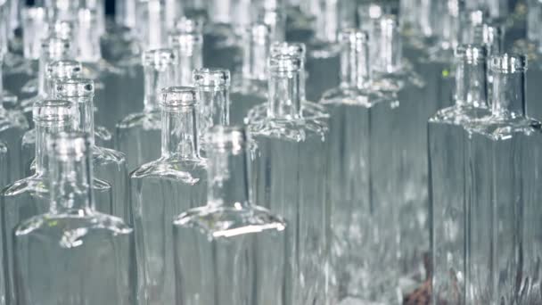 Статический вид нескольких стеклянных бутылок, стоящих близко друг к другу — стоковое видео