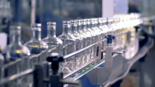 Glass bottles move on a conveyor. — Stock Video