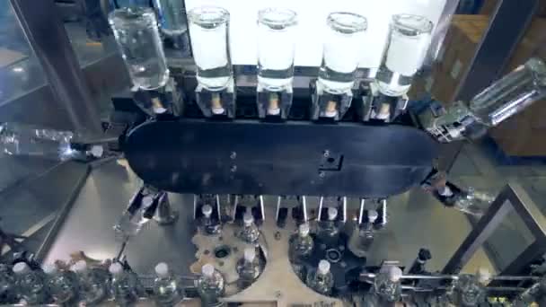Бутылки на специальной линии на заводе . — стоковое видео