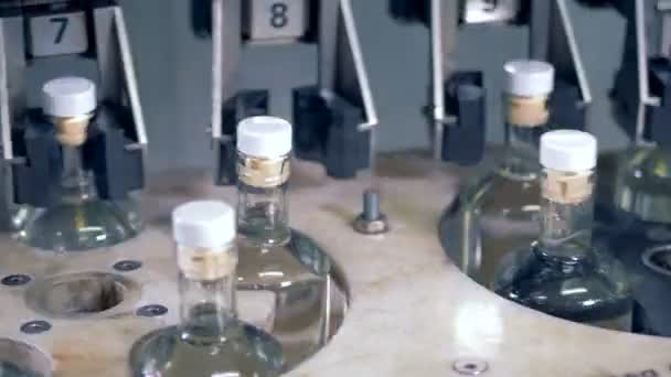 Full bottles on a conveyor, close up. — Stock Video
