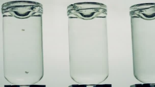 Flaskor på en ljus bakgrund, närbild. — Stockvideo