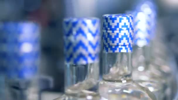 Vodka bottles go on an assembly line. — Stock Video