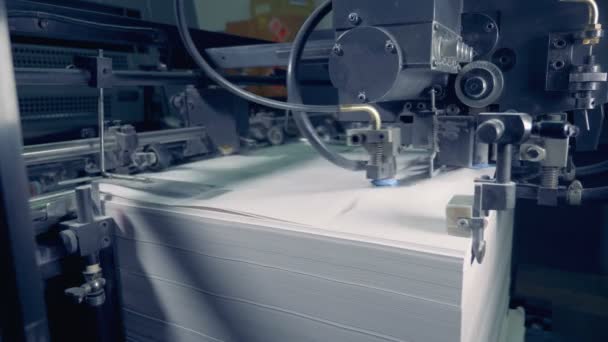 Μια μηχανή διαλογής σε ένα εργοστάσιο, να κλείνουν. Διαδικασία ανακύκλωσης χαρτιού. — Αρχείο Βίντεο