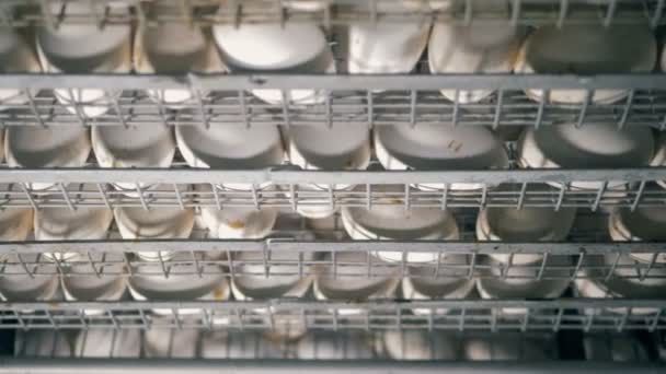 Primer plano de recipientes metálicos enrejados llenos de huevos blancos frescos — Vídeo de stock