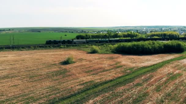 Paesaggio splendido con il treno container che passa attraverso la campagna . — Video Stock