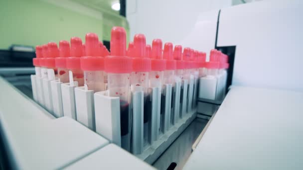 Medyczne urządzenia kontroli rur z krwi, z bliska. Próbki krwi przejść na specjalną linię na maszynie nowoczesne laboratorium. — Wideo stockowe