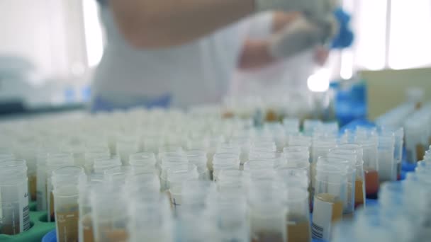 Laboratory worker works with plastic tubes in a laboratory. — Stock Video