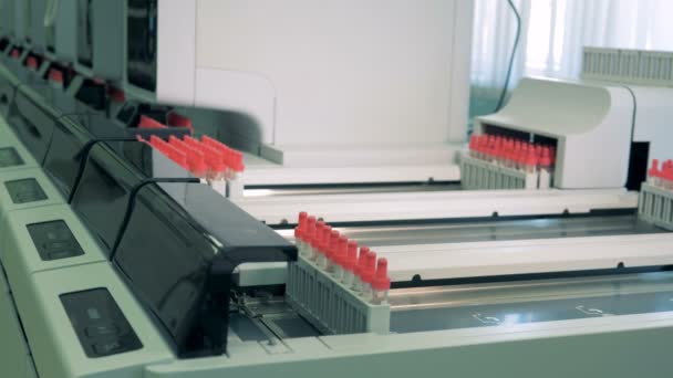 Samples with blood move on a machine line being tested. Automared medical equipment fot samle tests. — Stock Video