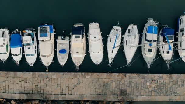 Vue de dessus d'une ligne droite de yachts amarrés aux quais — Video