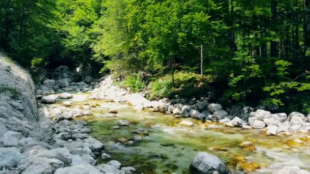 Paisagem florestal com um córrego corrente, rio de montanha e rochas . — Vídeo de Stock