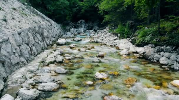 Ένα ποτάμι βουνό ρεύμα ρέει κάτω στους βράχους περιβάλλεται από καταπράσινα δέντρα — Αρχείο Βίντεο