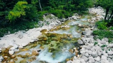 Bir dağ nehir orman kayalarda taze temiz su.