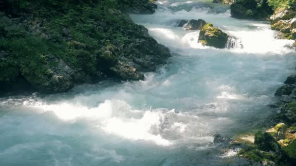 Wasser strömt den Wasserfall hinunter. Risse eines Gebirgsflusses in Zeitlupe. — Stockvideo