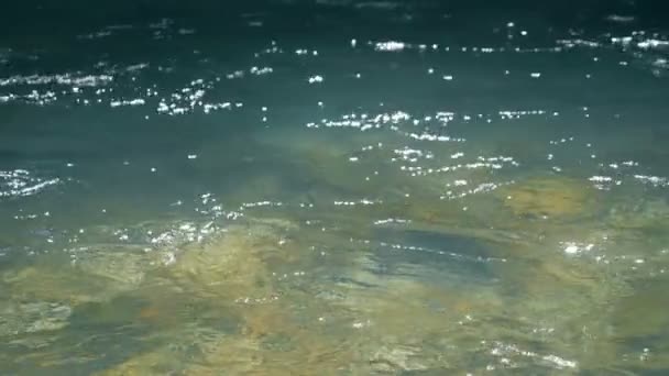 Čistá voda v potoce, zblízka. Slow motion záběry z vodní plochy s skalnaté dno pod — Stock video
