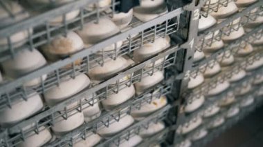 Kuluçka çiftliğinde yumurta ile birçok kafesleri.