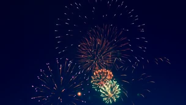 Fogos de artifício coloridos no céu . — Vídeo de Stock