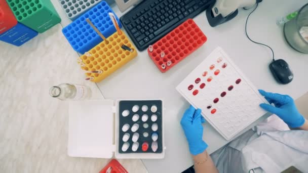 Blood samples on a white tray, slow motion. A woman moves a tray to look at blood samples in a laboratory room. — Stock Video