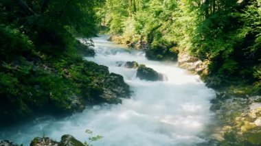 Bir rocky içinden akarsu nehir, orman yatay
