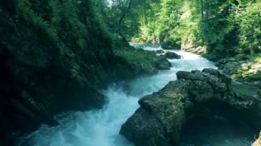 Orman kayaların çalıştırırken kükreyen akışı