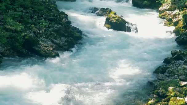 El agua rugiente fluye a lo largo del río rocoso — Vídeos de Stock