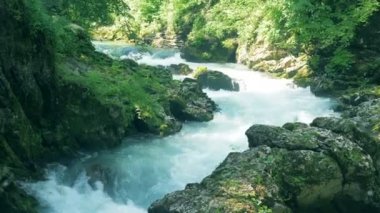 Üzerinden çalışan hızlı bir dere ile Rocky Kanyon