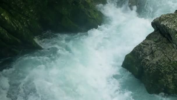 Primo piano di una sorgente d'acqua infuria che scorre tra le pietre — Video Stock