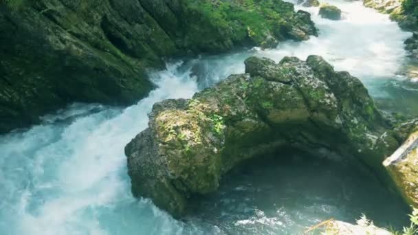 Ροής νερού και πέτρες σχηματίζουν μια δεξαμενή νερού — Αρχείο Βίντεο