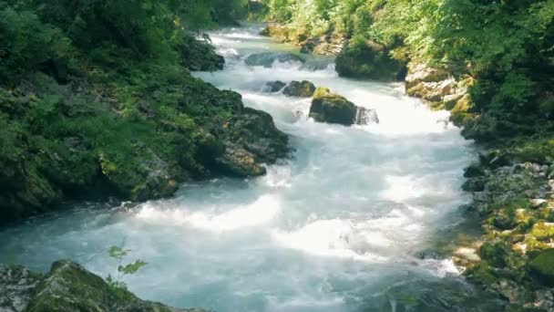 Roaring rifts of a rocky canyon brook — Stock Video