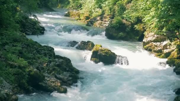 Быстрый источник воды протекает через горный каньон — стоковое видео