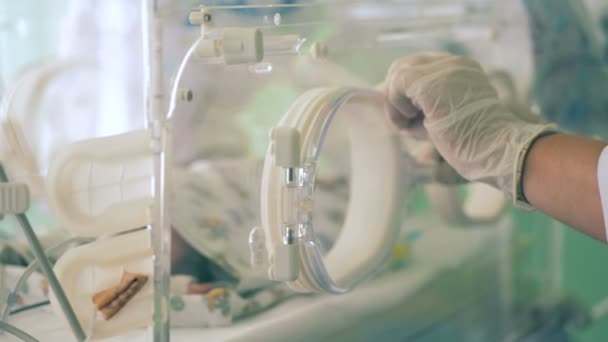 Trabajador médico está cerrando las puertas de una caja con un bebé recién nacido en ella — Vídeo de stock