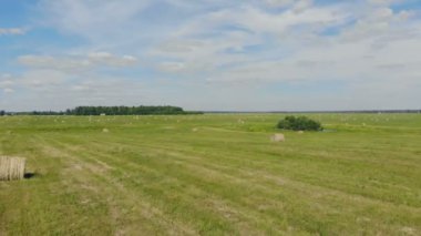 Haystacks dolu yeşil çayır.