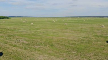 Geniş alan ile lots-in hayricks.