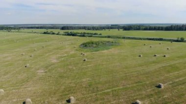 Hasat saman olan bir alan, üstten görünüm.